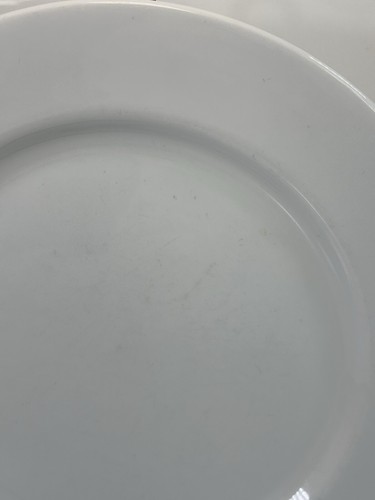 4- Wedgwood Emeril Super White Micaceous Herbaceous Salad Plates 9.25” - Picture 14 of 21