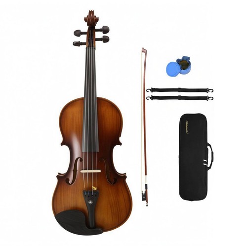 Adult-Size 4/4 Electric Violin Beginner Kit String Instrument | eBay ...