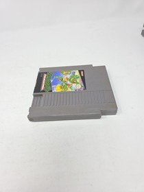 Teenage Mutant Ninja Turtles Nintendo NES solo cartuccia autentica