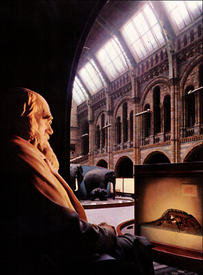 1960 Vintage Print Charles Darwin Statue London Museum Natural History
