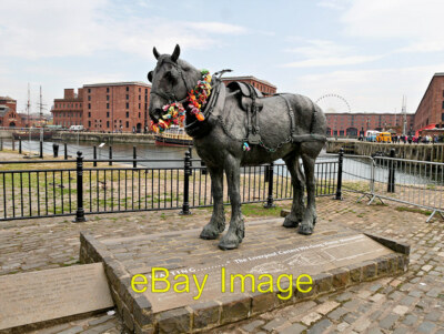 Foto 6x4 Warten auf das Liverpool Arbeitspferd am Albert Dock dieses Monumen c2016