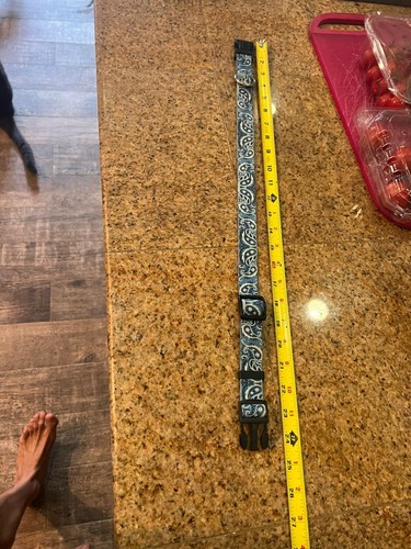 vintage dog collar blue tuff