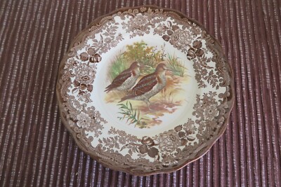 Palissy Royal Worcester Spiel Serie Ersatzteile/Ersatzplatten 9'' SNIPE
