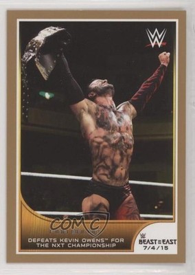 2016 WWE Road to Wrestlemania Tag Team Championship Bronze Finn Balor Patch 1md