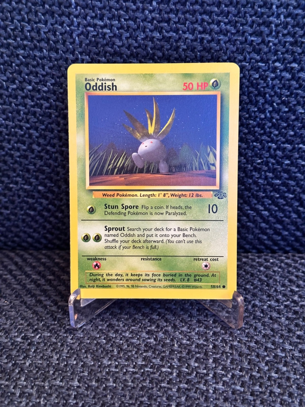 1999 POKEMON ODDISH 58/64 COMMON JUNGLE NM/M