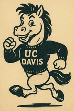 UC Davis NCAA College Mascot Logo Poster Wall Decor 12x8in Metal Sign