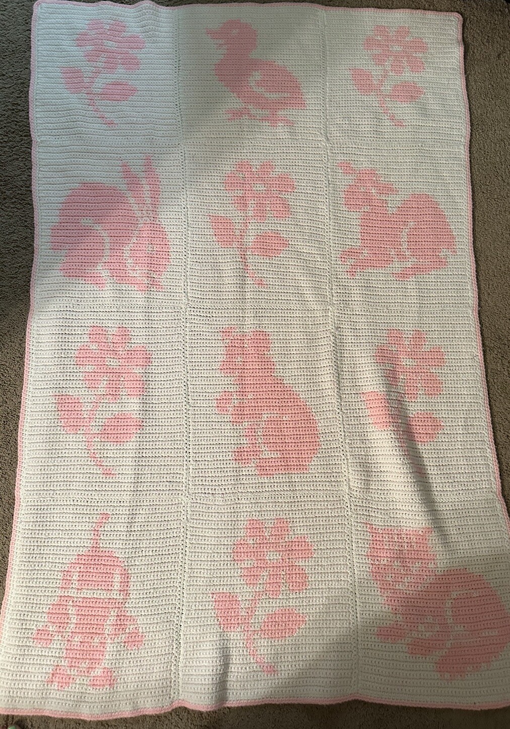 Foto 1 di 5