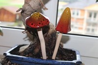 2Er Set Pilze Mit Beweglicher Kappe Aus Keramik, H Ca. 17 Cm, Pilze Herbst
