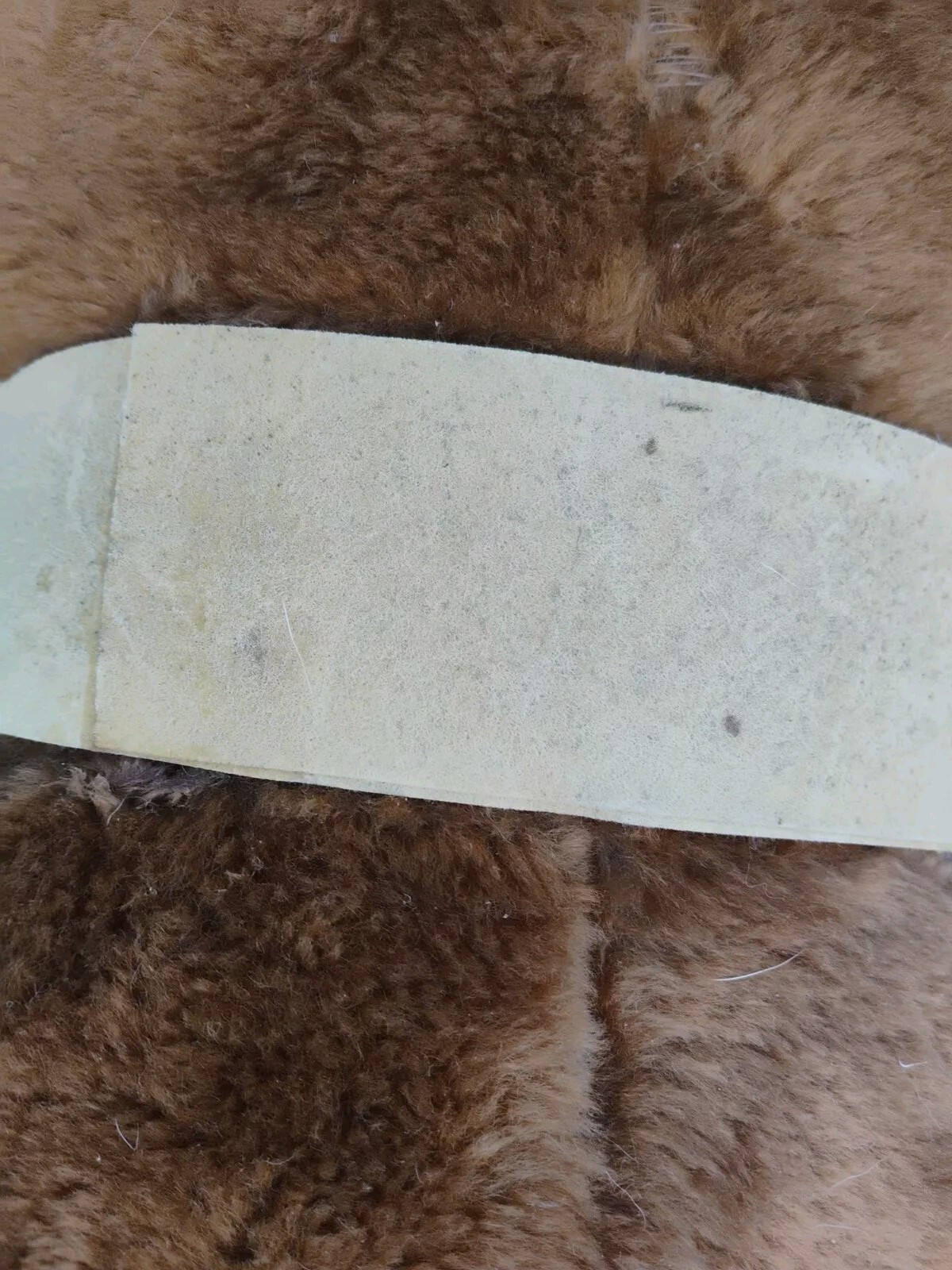 Picture 9 of 10