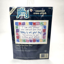 1998 Sunset Jiffy Counted Cross Stitch Kit #16681 "Today Is Not Your Day!"