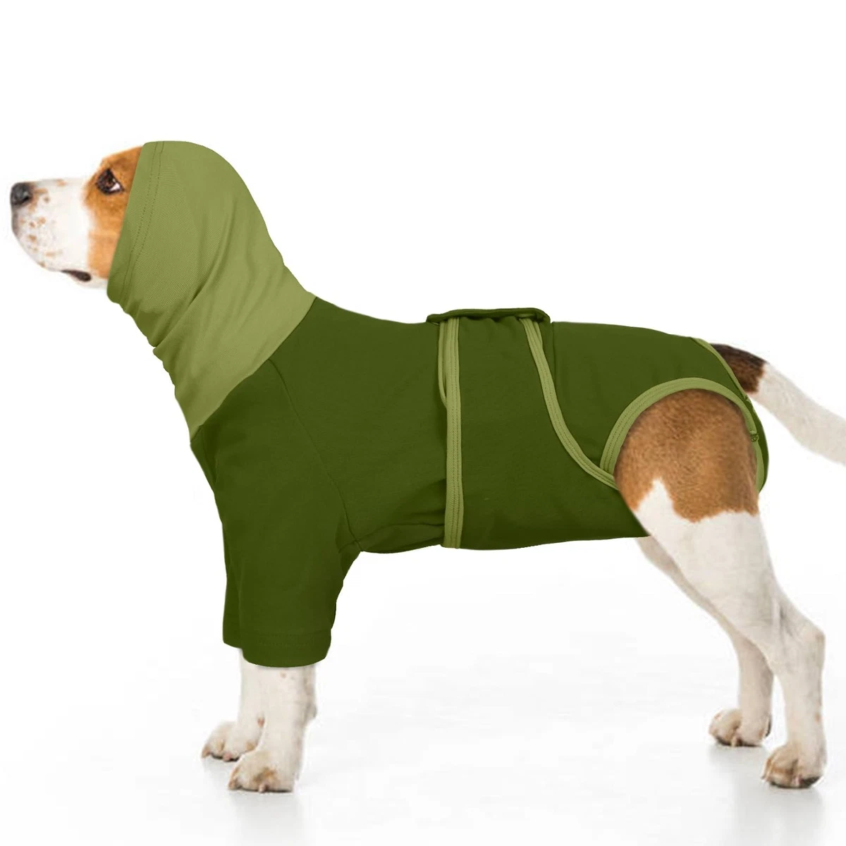 Dog Recovery Suit Surgical Coat Comfy – Green Large