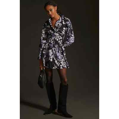 knee length dresses for ladies Belva Long Sleeve Corset Shirt Mini Dress Brown Stripe Curve main image 0