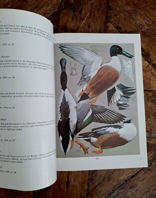 Measured Drawings Watercolours Sketchbooks Manuscripts .. of Charles Tunnicliffe