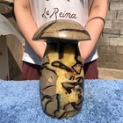 12.9LB Natural Septarian Dragon quartz Crystal mushroom Mineral Specimen Healing — photo 4
