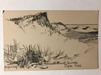 Sand Dunes, Cape Cod, Massachusetts MA Postcard