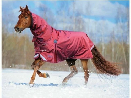 Shires 5' 9" Size Horse Turnout Rugs