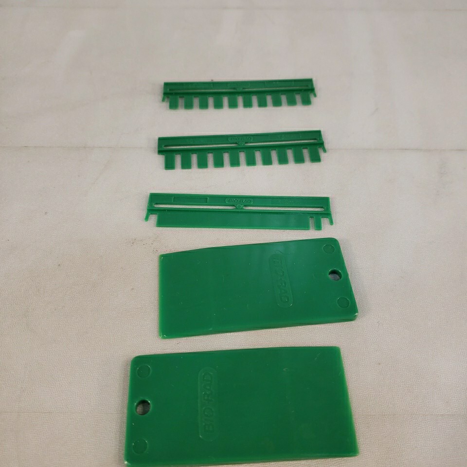 Bio Rad Mini PROTEAN 3 SDS-PAGE Gel Electrophoresis Rig System With ...