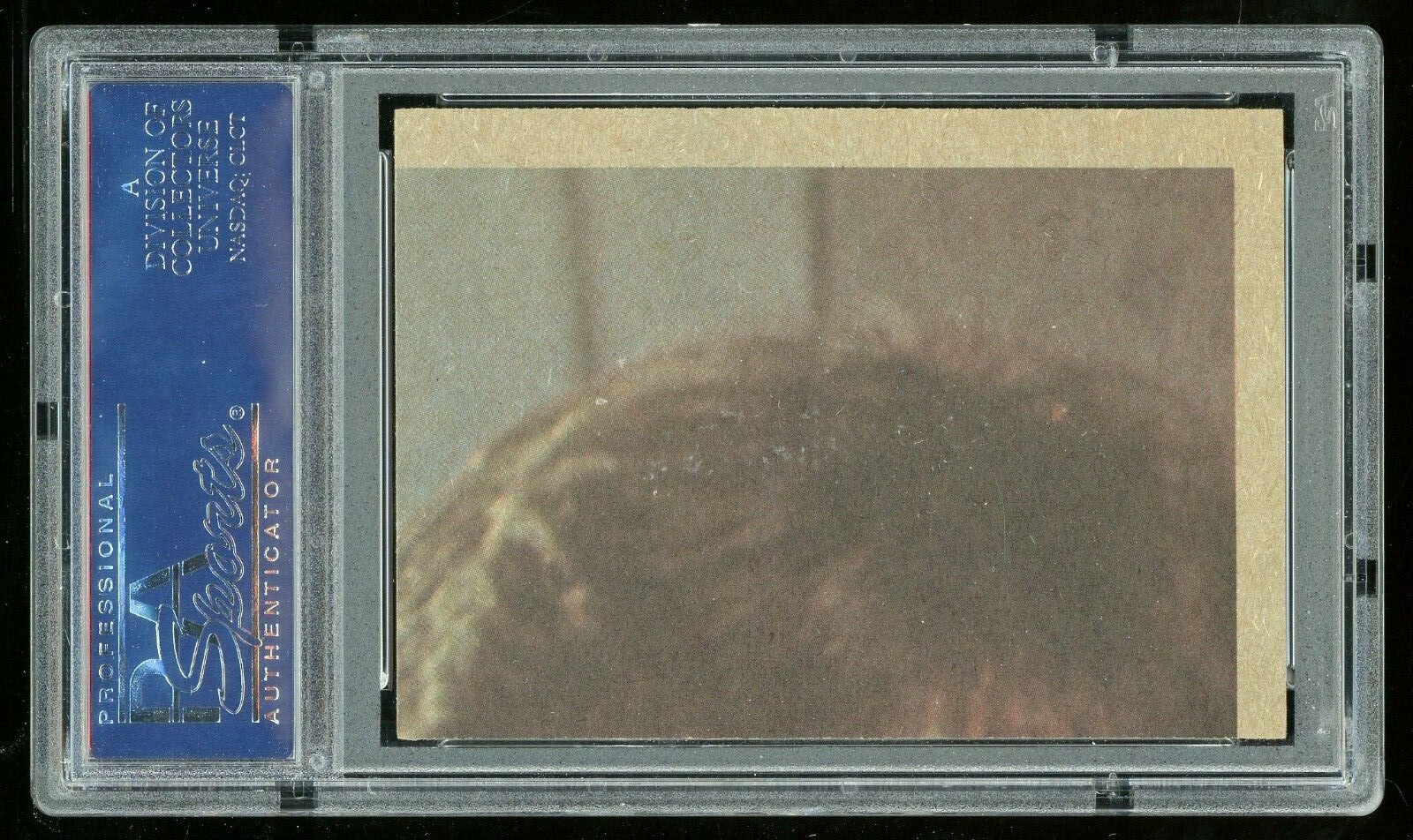 Picture 4 of 4