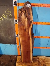 # 8682,  1 11/16" thick Black Walnut Live Edge Slab lumber craft wood 