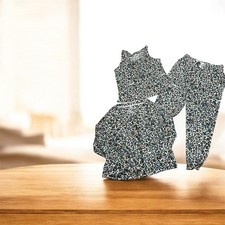 Joyspun Women'sl Leopard Print Three-Piece Pajama Set Size Medium 8-10 NWOT