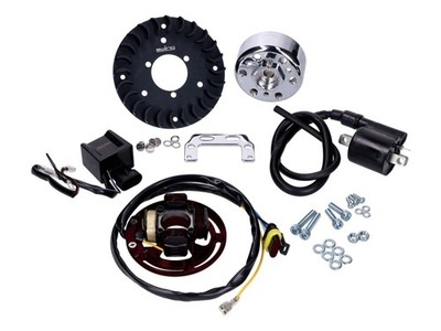 Zündung EVO Swiing für Sachs 503 AAL, ABL, 2AL, 2 BL