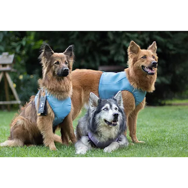 hurtta motivation cooling vest