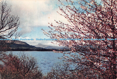 D082941 Menteithsee. Perthshire. Schottland Only See. Mit Ben Lomond im