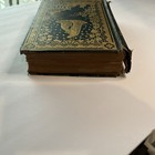 Picture 13 of 16