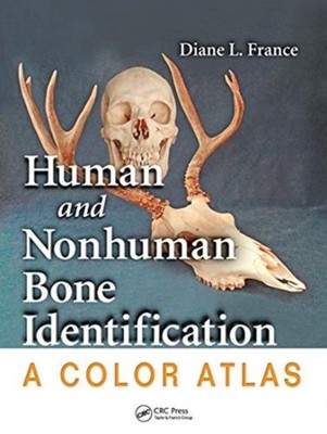 HUMAN & NONHUMAN BONE IDENTIFICATION by FRANCE, DIANE L. Paperback Self Help
