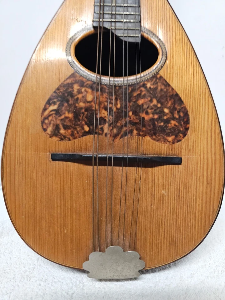 Mandolina trasera Regent Bowl de Vega Company Foto 4 de 4