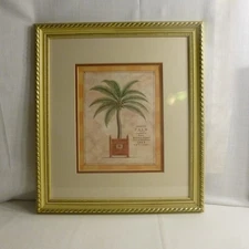 Framed Coconut PALM matted under glass 13 X 15 - Mint