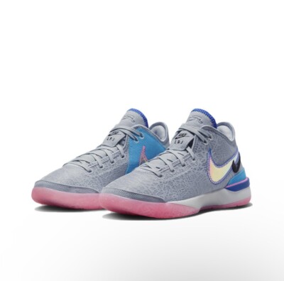 DR8784-002] MENS NIKE ZOOM LEBRON NXXT GEN '1984' Multi