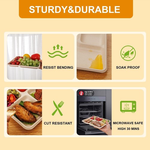 100% Compostable 5 Compartment Paper Plates, 125 Pack Heavy Duty Disposable Scho - Picture 4 of 24