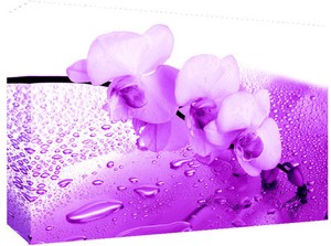 Purple Orchid Floral Flower Canvas Wall Art Picture Print