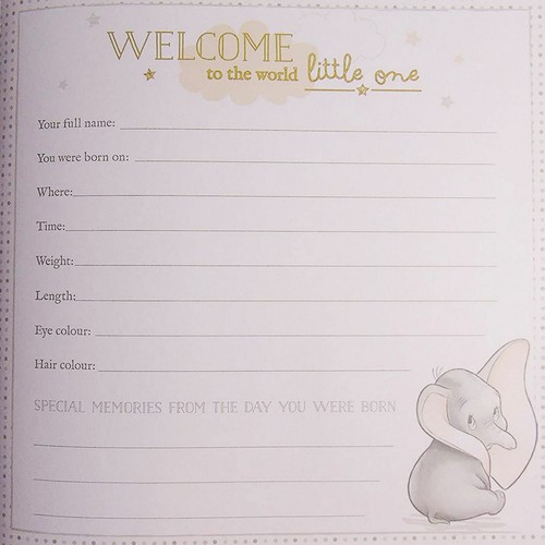 Disney Dumbo My 1st First Year New Baby Memory Record Book Gift - Picture 3 of 4