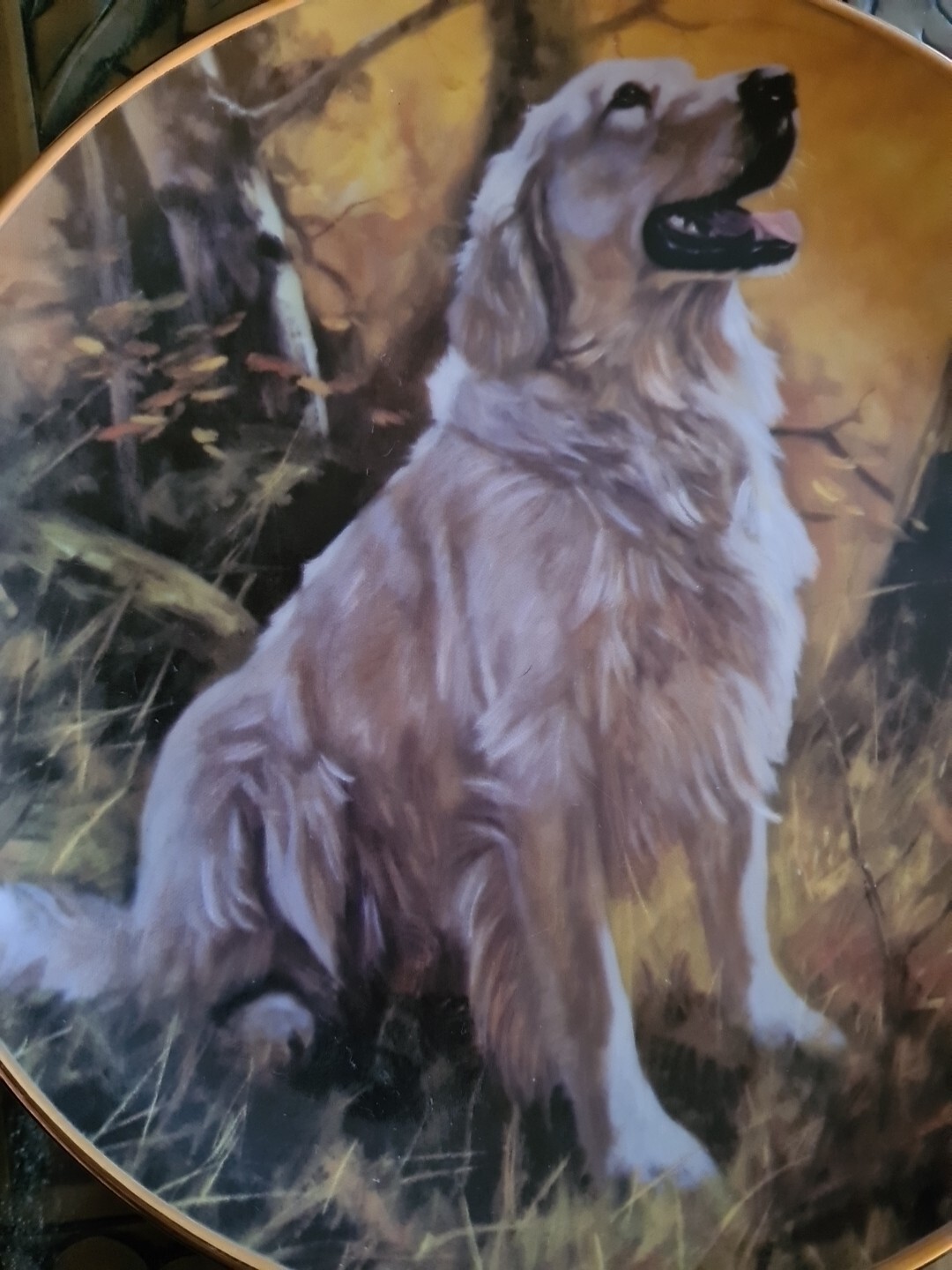 Picture 1 of 4
