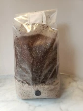 4 LB All in One MUSHROOM GROWING BIO-BAG KIT: Substrate + Spawn Sterilized,FRESH