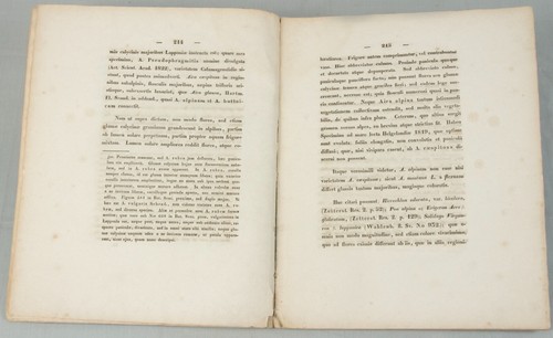 1839 Lars Levi LAESTADIUS Loca Parallela Plantarum RARE botany science offprint - Bild 3 von 6