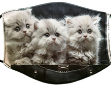 3 Kittens Kitty Cat Face Mask Washable Adjustable All Sizes Unisex Cotton