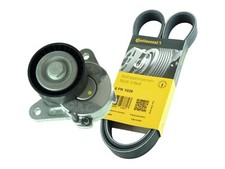 Keilrippenriemen + Spanner VW TIGUAN GOLF 6 7 PASSAT SKODA SEAT AUDI 1.6+2.0 TDI