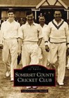 Somerset County Cricket Club by Tony Stedall (Paperback, 1999)