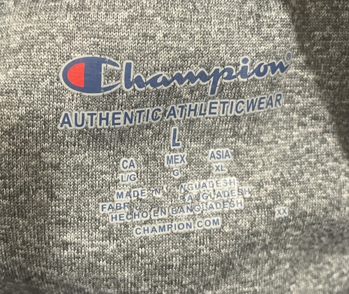Men Champion Gray Purple Northwestern Wildcats Sweatshirt Hoody Pullover Size L - Picture 6 of 9