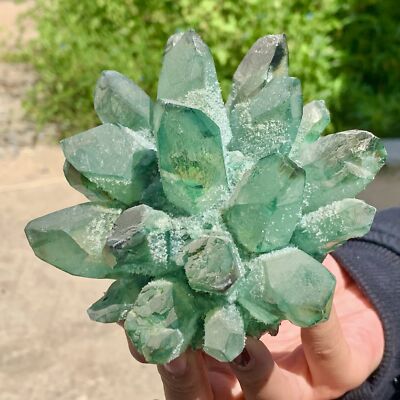 1.48LB New Find green PhantomQuartz Crystal Cluster MineralSpecimen