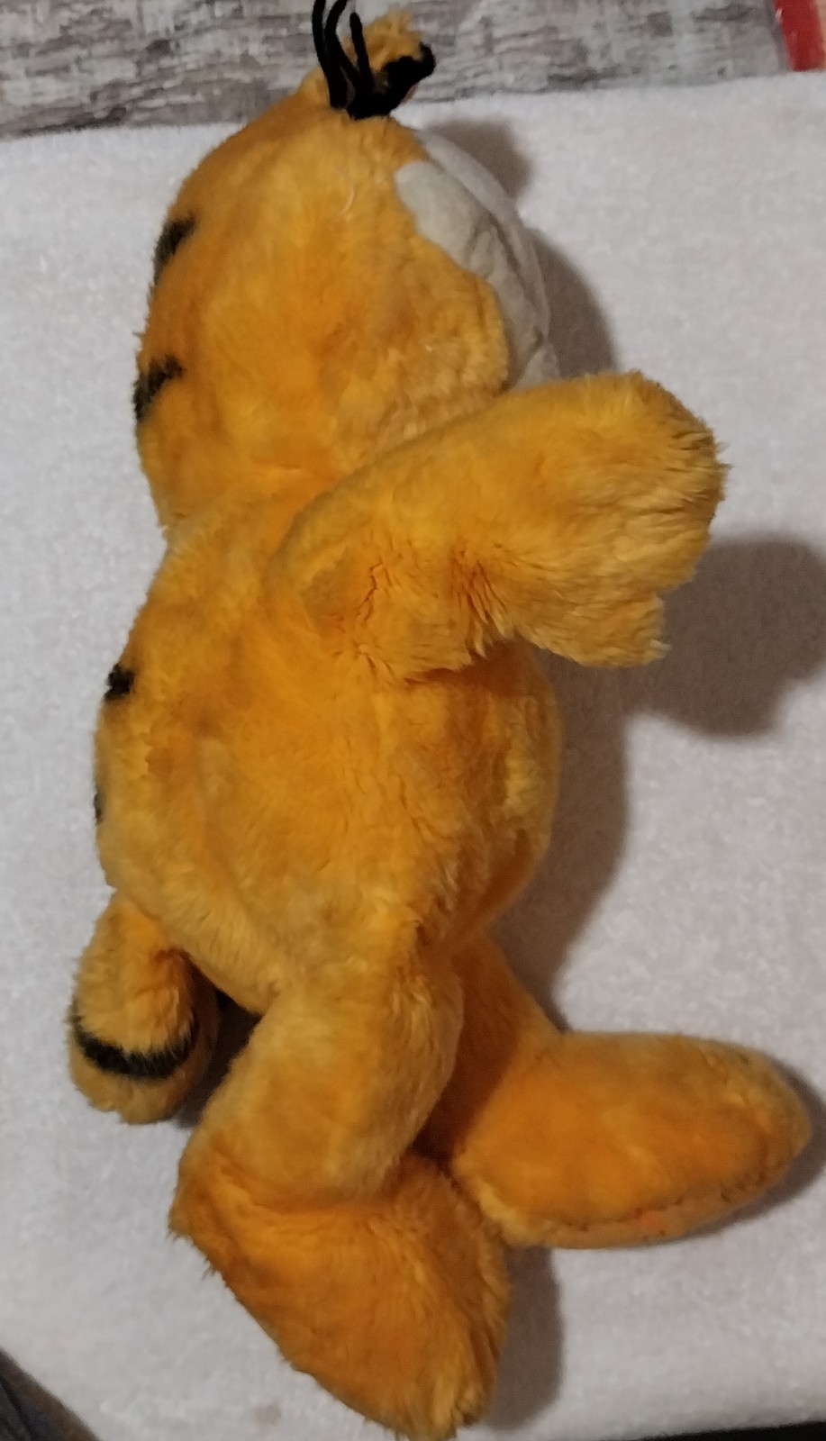 Picture 5 of 6