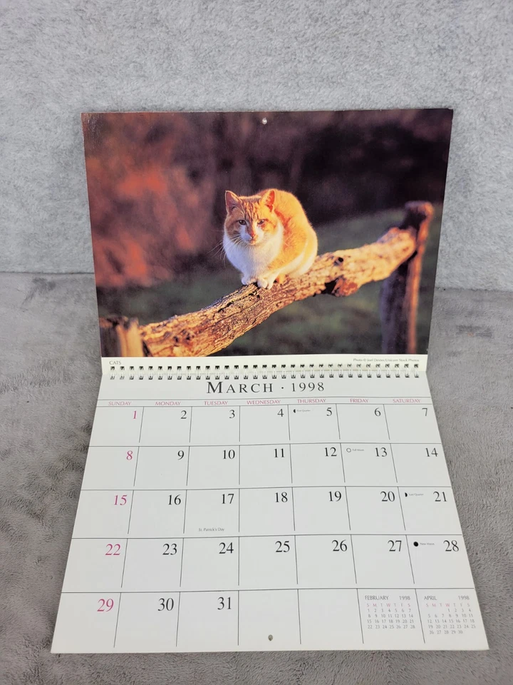 Calendario de compromiso Smith-Southwestern 1998 gatos organizador encuadernado en espiral Foto 4 de 4