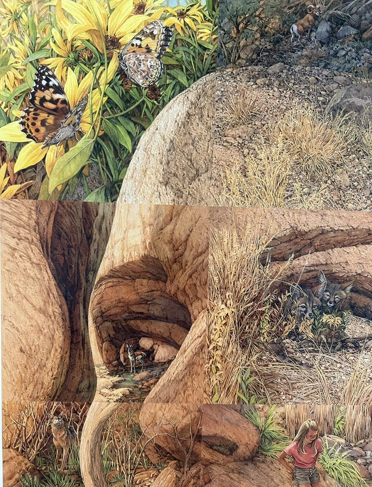 Impressão litográfica Bev Doolittle Earth is My Mother edição limitada novo estoque antigo - Imagem 3 de 4