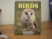 Encyclopedia Of Birds