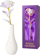 Rainbow Rose Flower Gift in Vase – Love Forever – Birthday / Valentine Gift