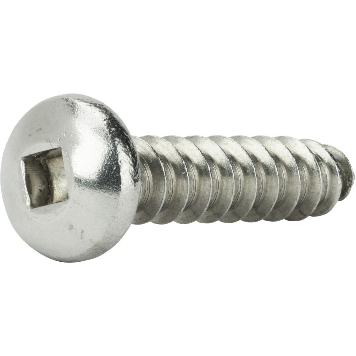 10 x 2 in. Stainless Steel Square Drive Pan Head Sheet Metal Screw
