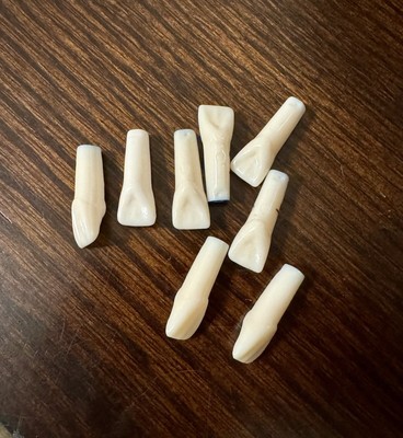 Nissin Kilgore Dental Typodont Teeth (Tooth #9) CITA ADEX